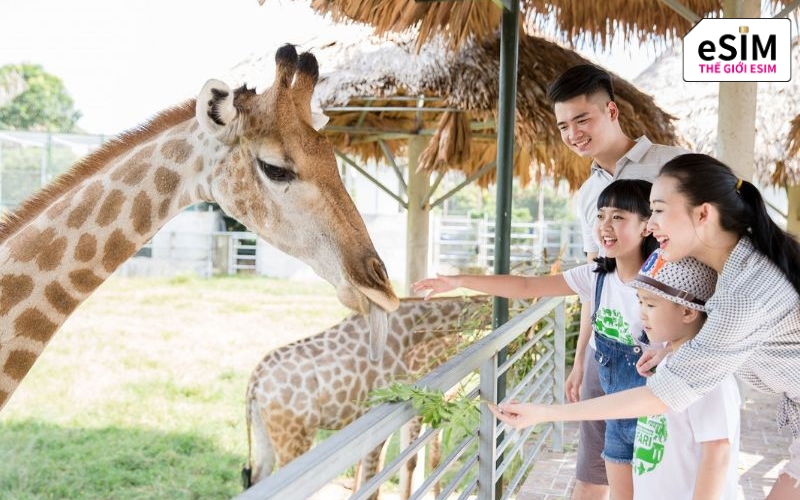 Hành trình Bangkok Pattaya sở hữu vườn thú Safari World rộng lớn mang lại niềm vui bất ngờ cho bé yêu